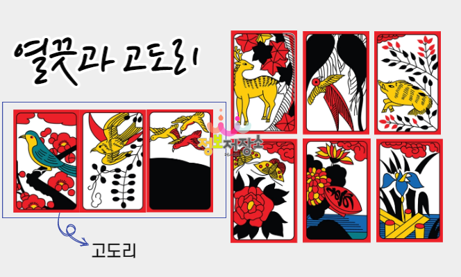 열끗과 고도리를 나눠서 설명